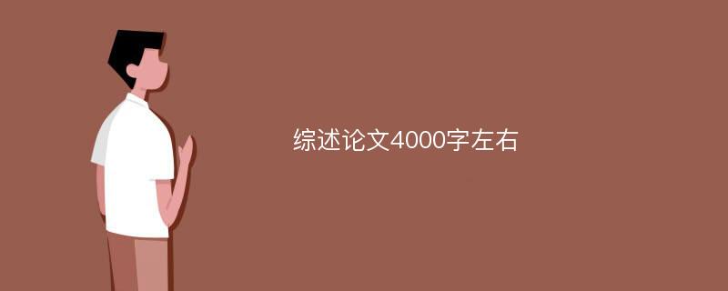 综述论文4000字左右